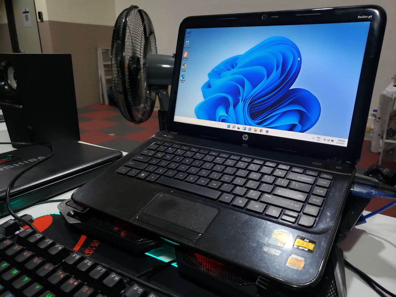 windows-11-izz-solution